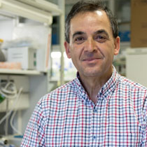 Prof. Isidro Sánchez