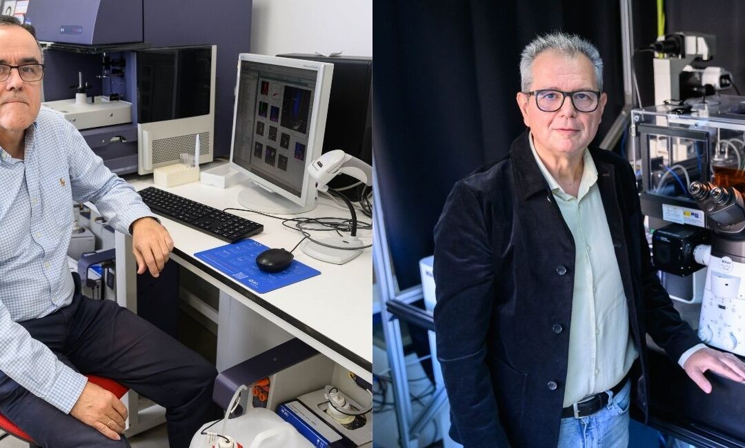 La Fundación BBVA financia el proyecto del Dr. Manuel Ramírez Orellana sobre el código epimecánico del cáncer